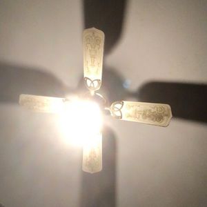 Meet your Posher, Logan